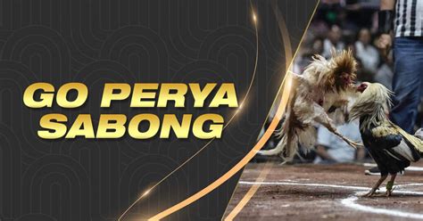 go perya sabong